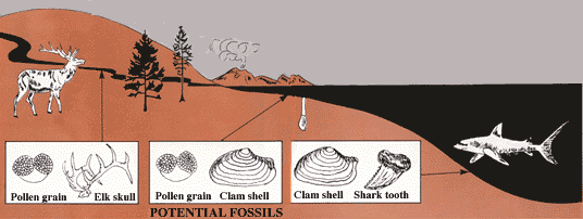 Diagram showing modern landscape 
and potential fossils